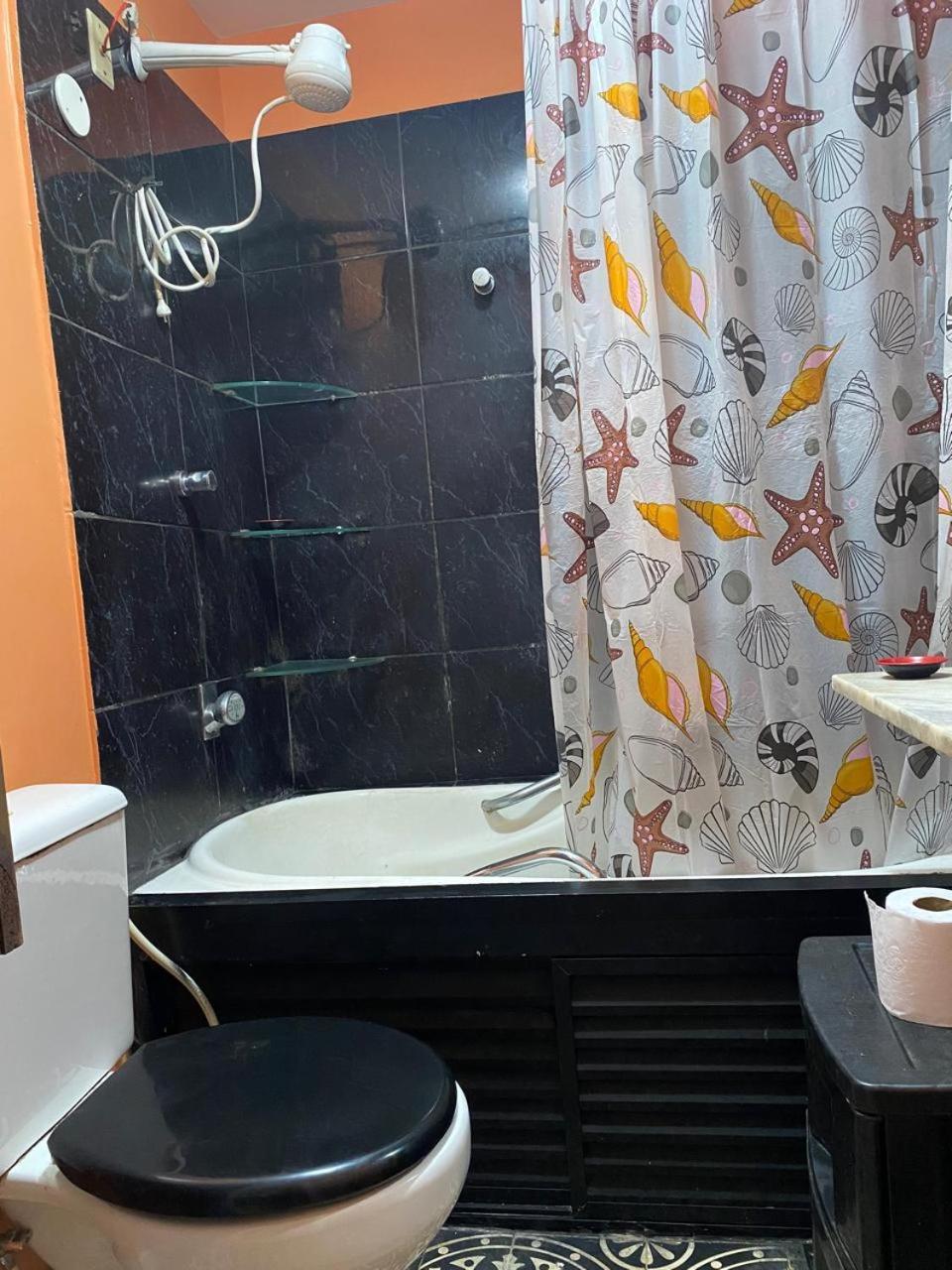 Ape De Alma Lavada Leme Apartment Rio de Janeiro